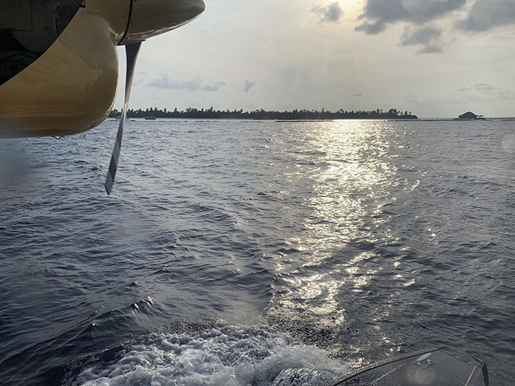 飛行機と海