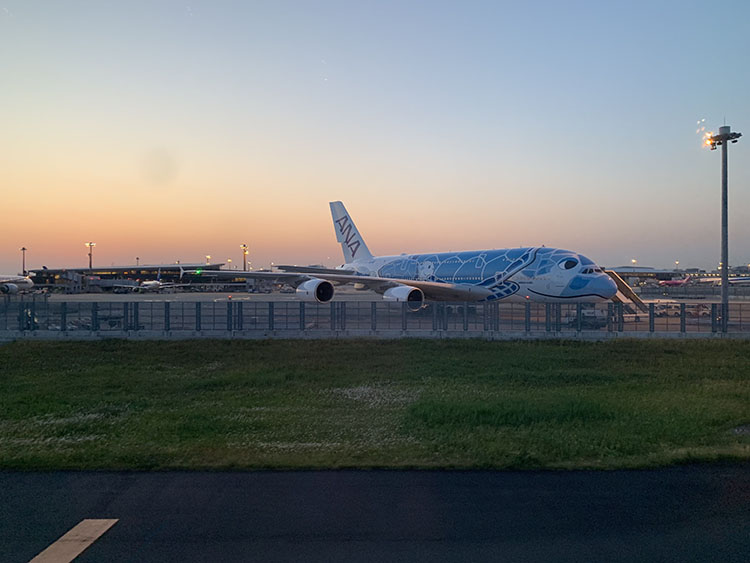 ANAエアバスA380型機の１号機と遭遇