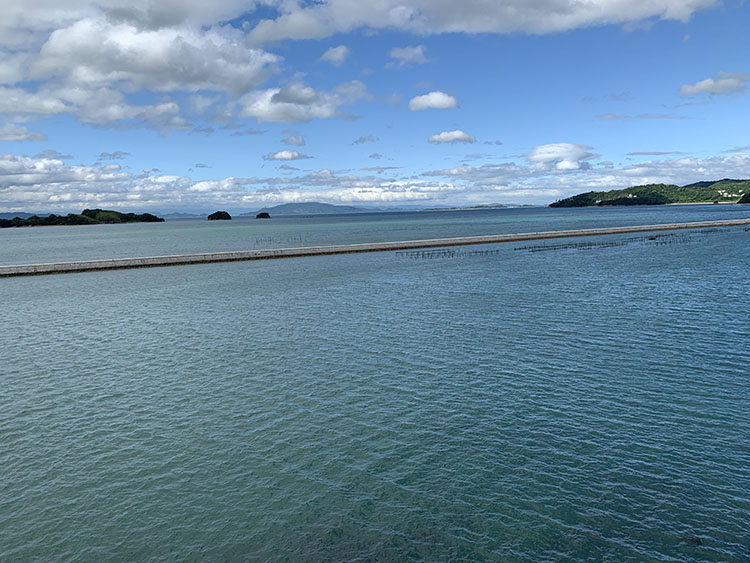 晴れた朝の海