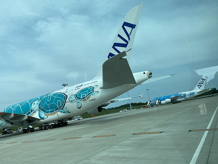 2機のエアバスA380型機