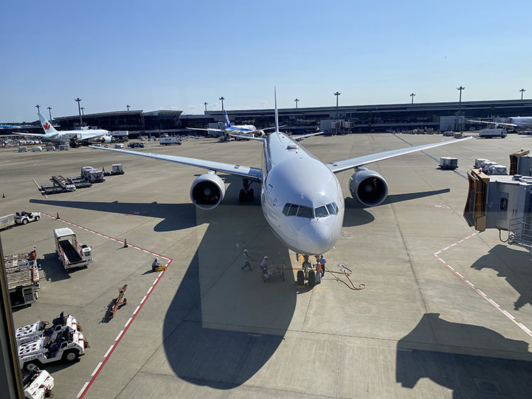 ANAの飛行機が目の前に