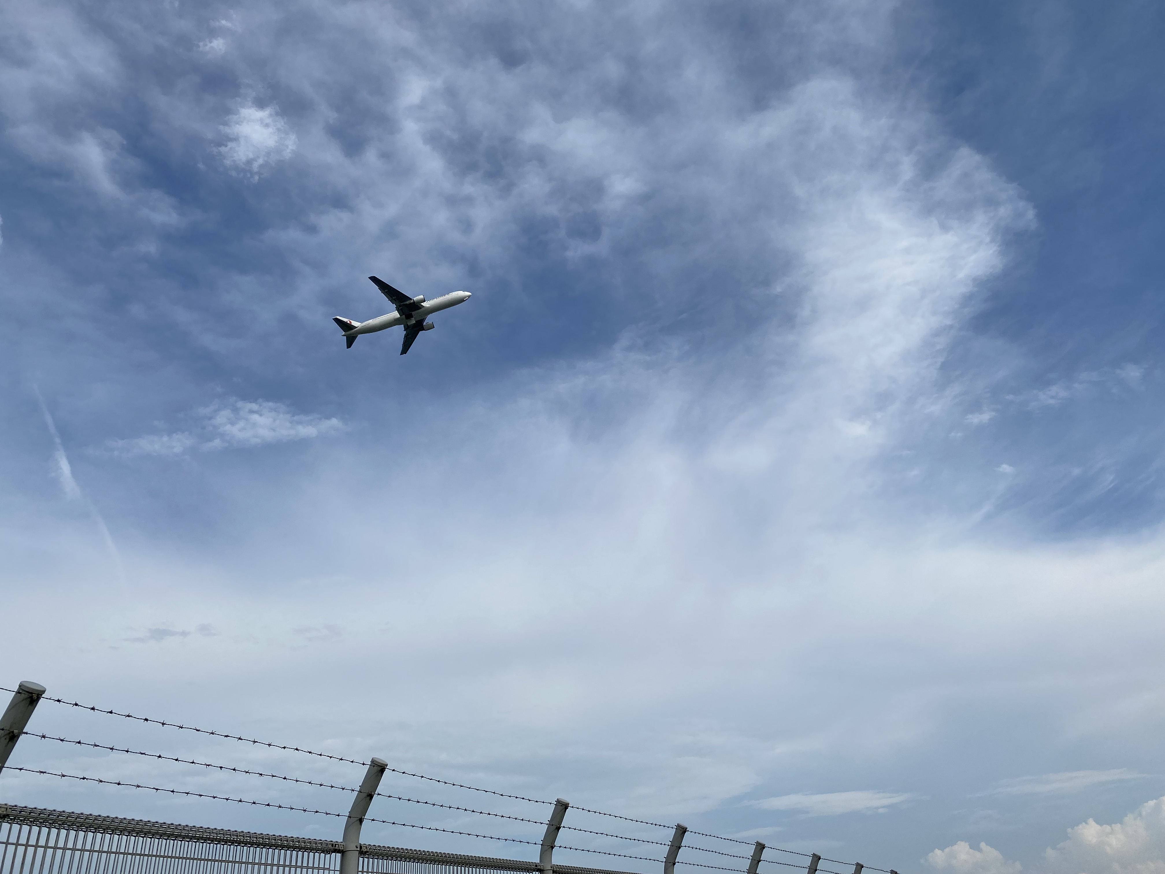 haneda